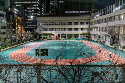 入欧